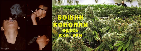 ешки Белокуриха