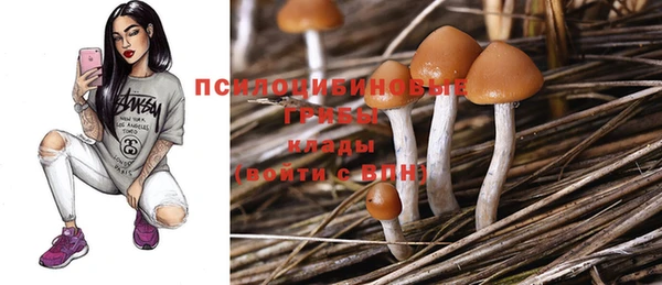 первитин Белоозёрский