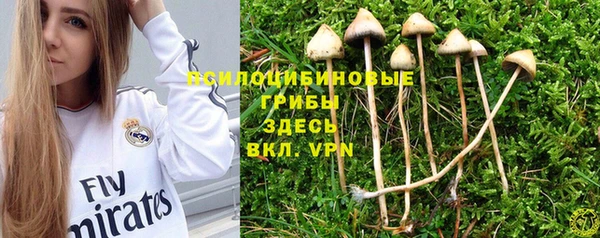 первитин Белоозёрский