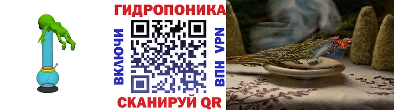 сайты даркнета какой сайт  Елабуга  Шишки марихуана планчик  продажа наркотиков 